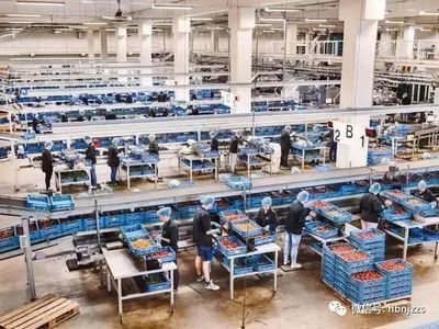 【視界】超越德國？揭秘農業科技領域的隱形冠軍